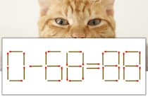 【マッチ棒パズル】正しい式にしよう！「0-68=88」【毎日脳トレ】
