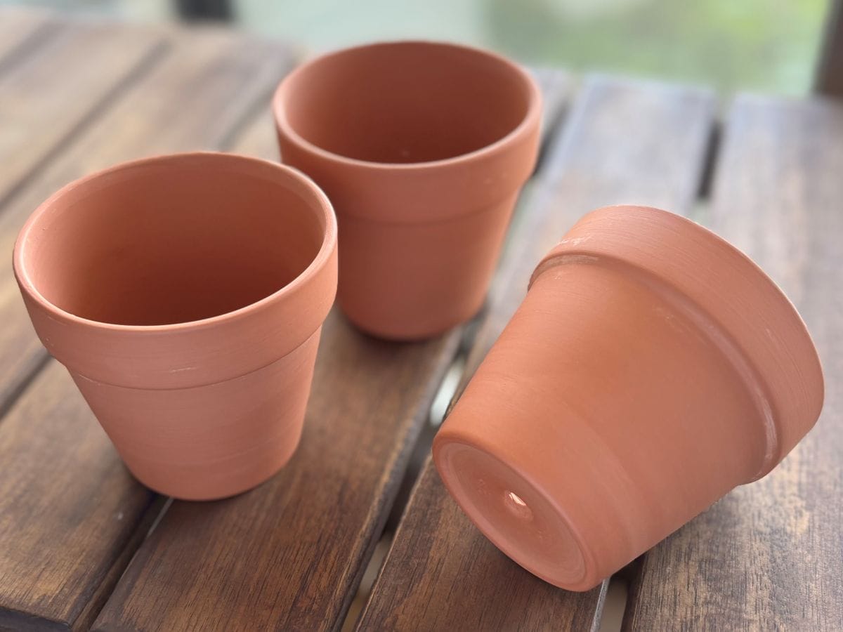 100均の植木鉢おすすめ5選！素焼きや陶器ならおしゃれで高見え♡