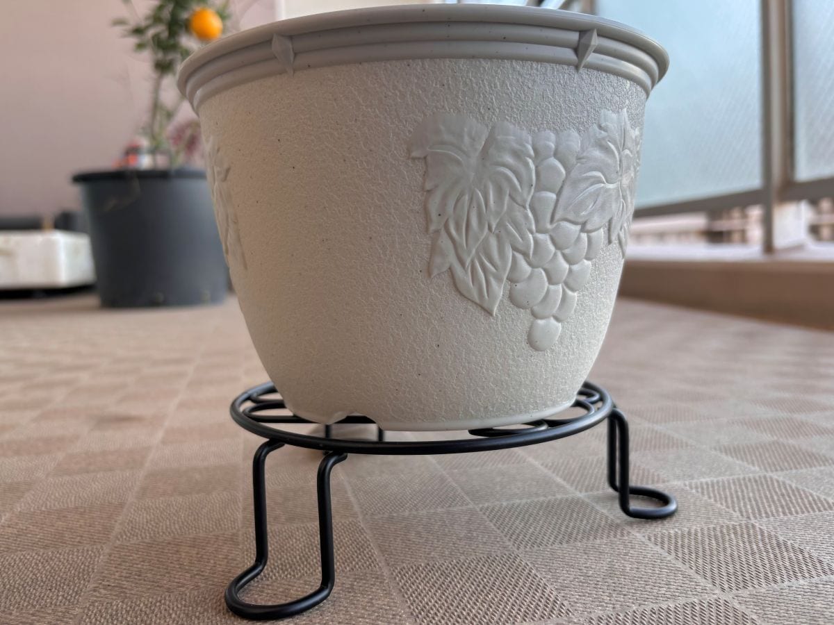 100均の植木鉢おすすめ5選!素焼きや陶器ならおしゃれで高見え♡