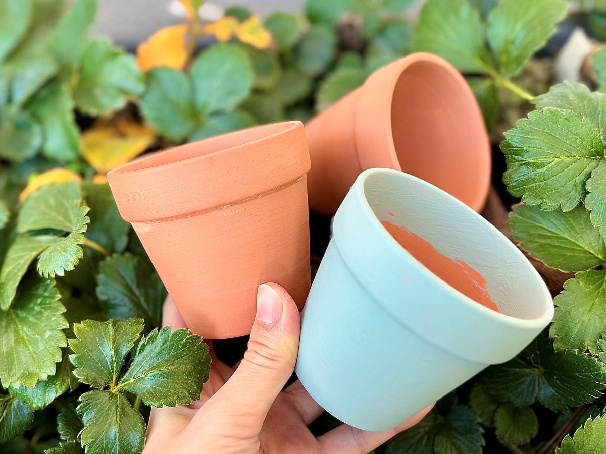 100均の植木鉢おすすめ5選!素焼きや陶器ならおしゃれで高見え♡