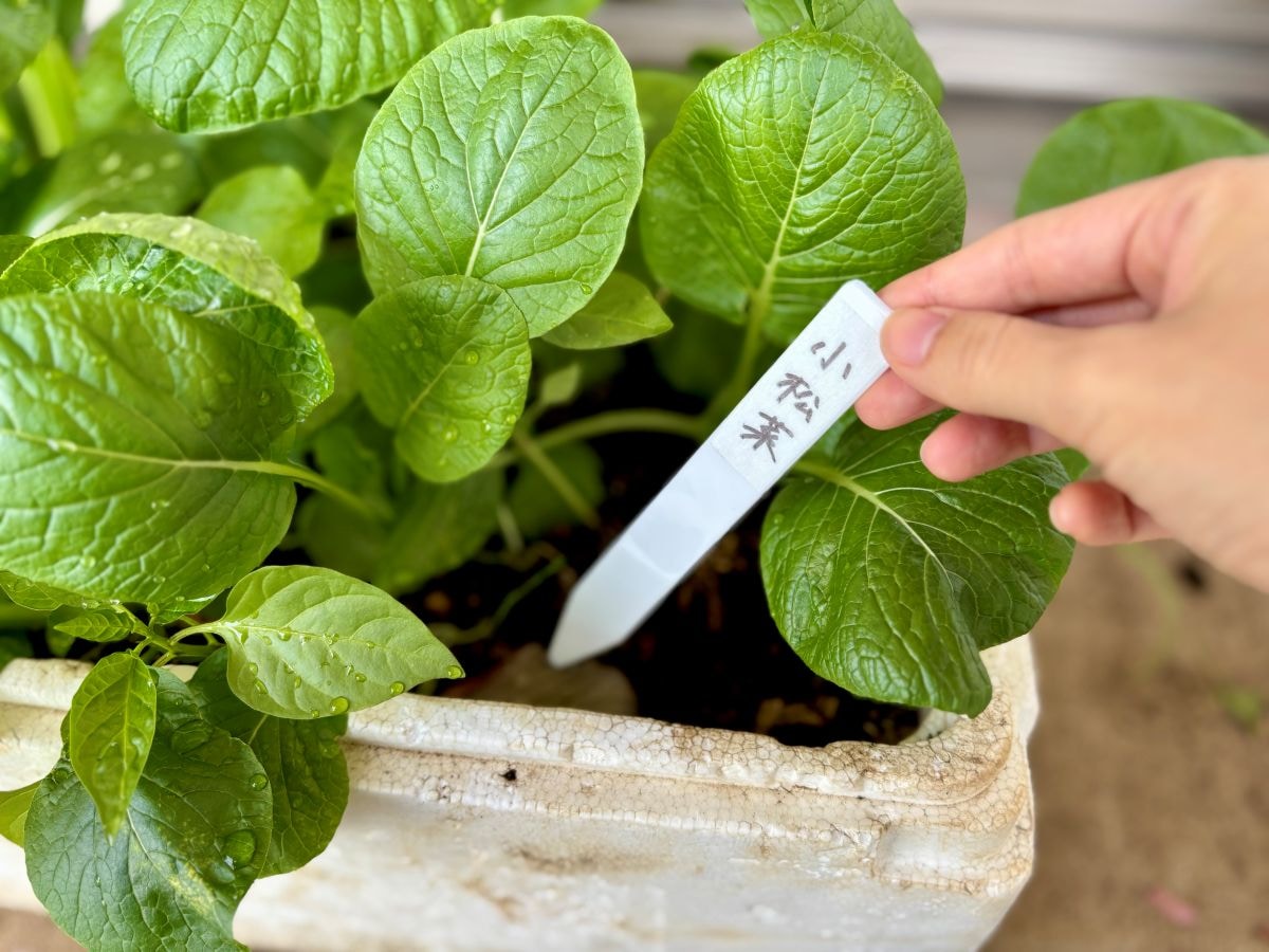 100均のネームプレート7選|子供の名札や植物用も【ダイソー・セリア・キャンドゥ】