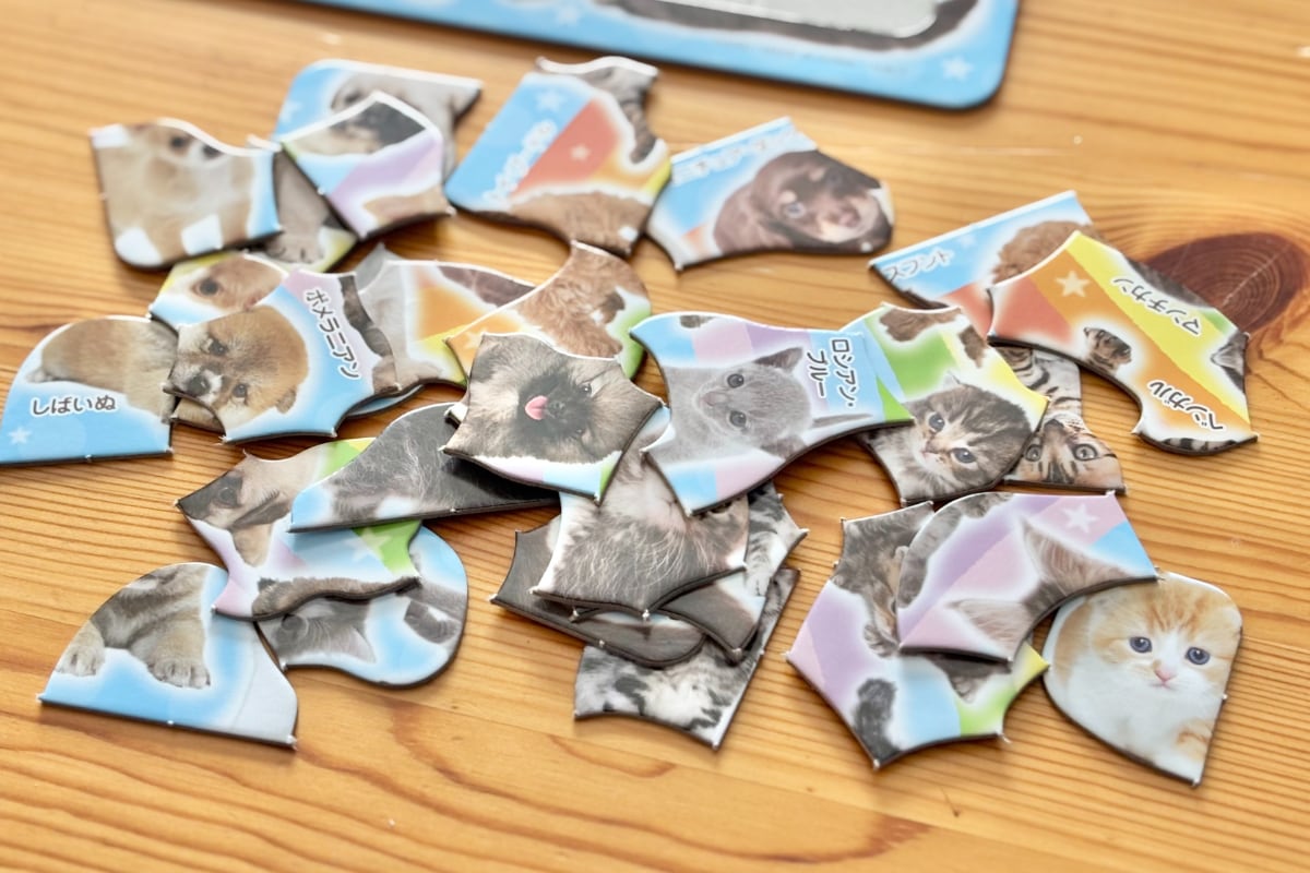 大人の脳トレにも！100均パズルのおすすめ7選【セリア・ダイソー・キャンドゥ】子ども向けも紹介