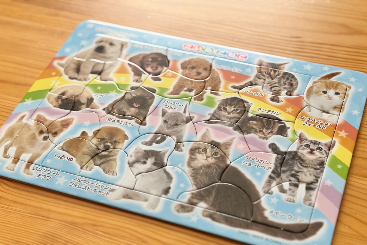 大人の脳トレにも！100均パズルのおすすめ7選【セリア・ダイソー・キャンドゥ】子ども向けも紹介