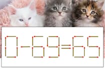 【マッチ棒パズル】正しい式にしよう！「0-69=65」【毎日脳トレ】
