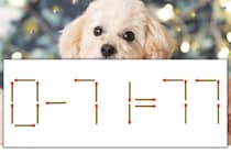 【マッチ棒パズル】正しい式にしよう！「0-71=77」【毎日脳トレ】