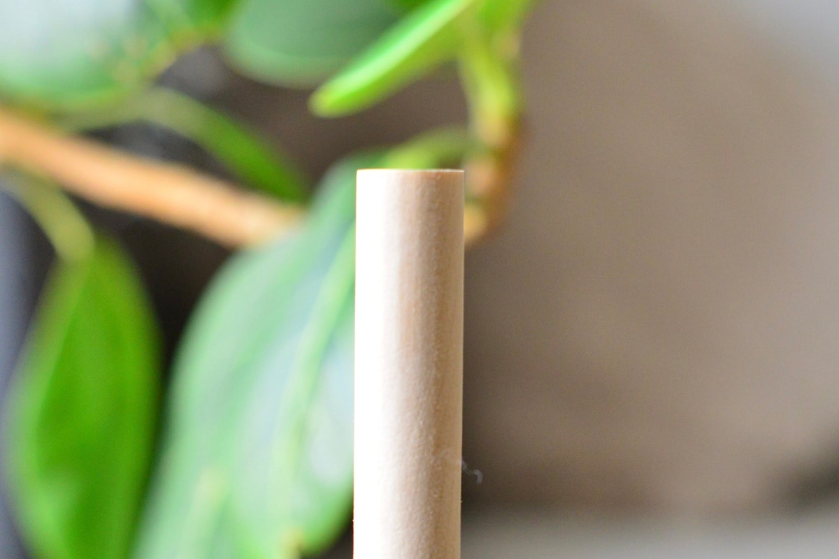 【100均】キッチンペーパーホルダー5選！セリア・ダイソー・キャンドゥ