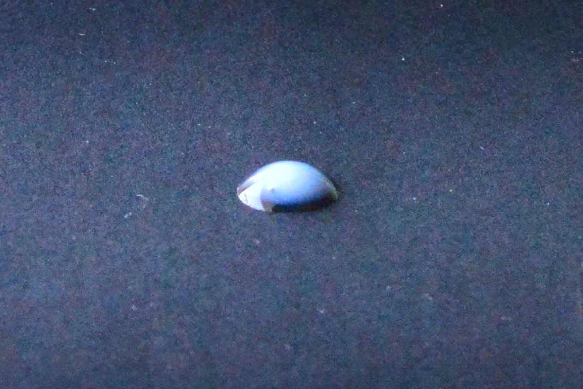 100均の滑り止めシールは用途がいっぱい!ハンガー用や靴下用も紹介