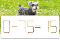 【マッチ棒パズル】正しい式にしよう！「0-75=15」【毎日脳トレ】