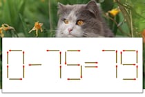 【マッチ棒パズル】正しい式にしよう！「0-75=79」【毎日脳トレ】