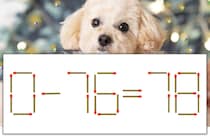 【マッチ棒パズル】正しい式にしよう！「0-76=78」【毎日脳トレ】