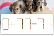 【マッチ棒パズル】正しい式にしよう！「0-77=71」【毎日脳トレ】