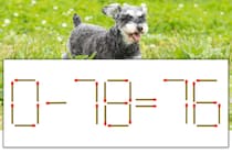 【マッチ棒パズル】正しい式にしよう！「0-78=76」【毎日脳トレ】
