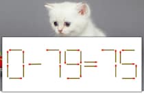 【マッチ棒パズル】正しい式にしよう！「0-79=75」【毎日脳トレ】