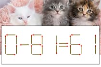 【マッチ棒パズル】正しい式にしよう！「0-81=61」【毎日脳トレ】