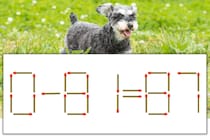 【マッチ棒パズル】正しい式にしよう！「0-81=87」【毎日脳トレ】