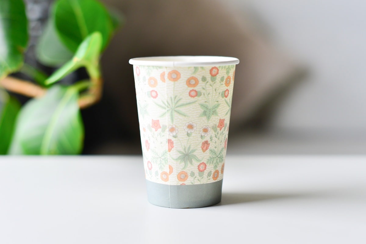 100均「紙コップ」が超優秀で使える！【セリア・キャンドゥ・ダイソー】