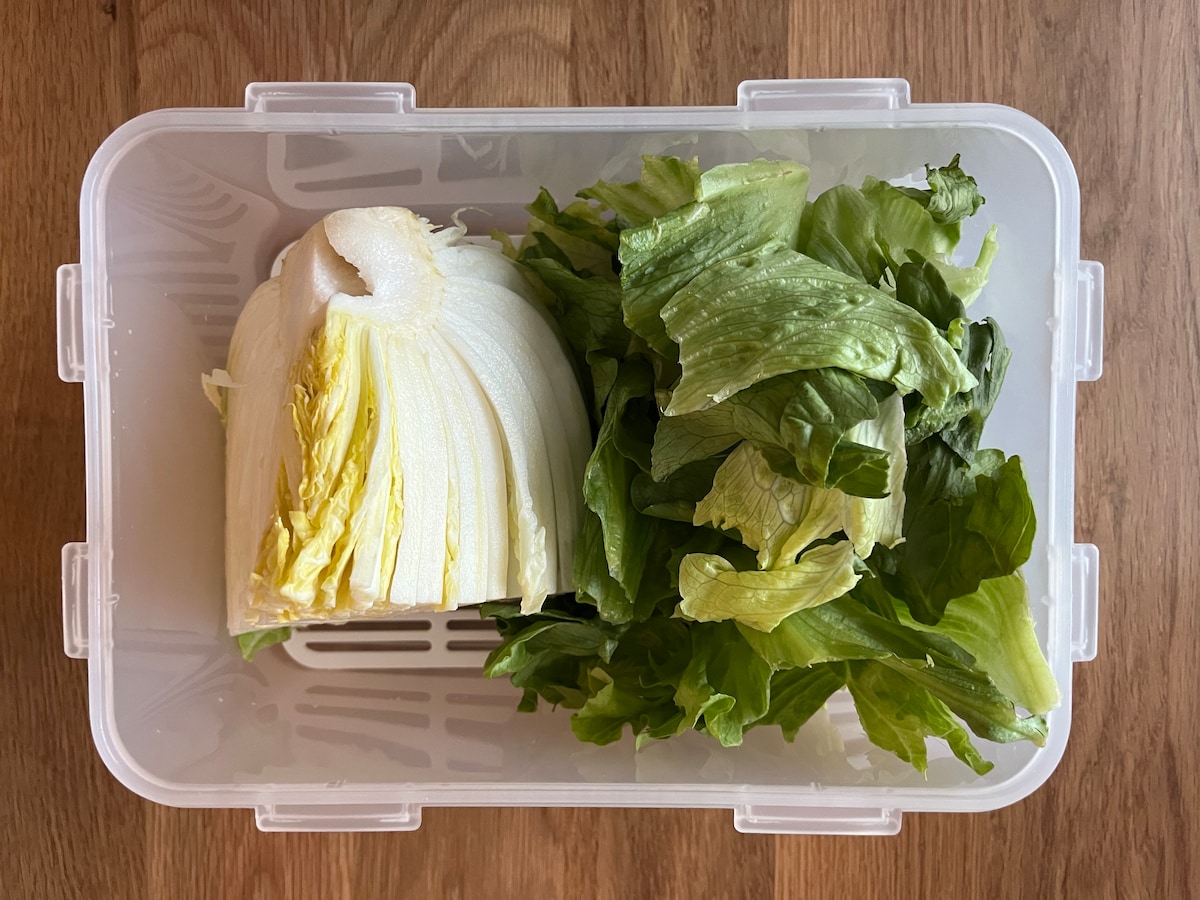 【100均】密封容器おすすめまとめ|ダイソー・セリア・キャン★ドゥで買った商品を紹介!