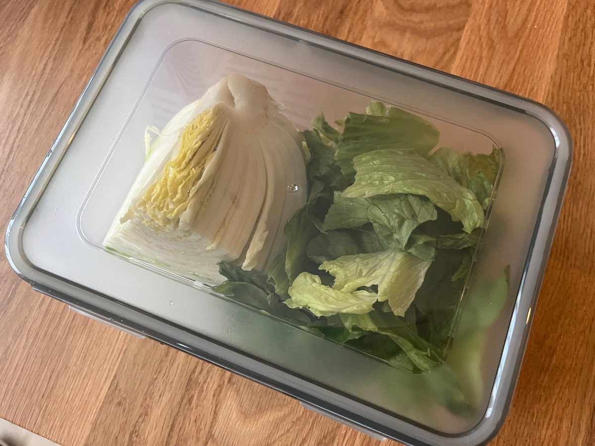 【100均】密封容器おすすめまとめ|ダイソー・セリア・キャン★ドゥで買った商品を紹介!