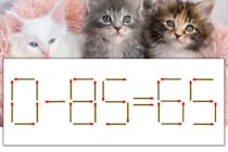 【マッチ棒パズル】正しい式にしよう！「0-85=65」【毎日脳トレ】
