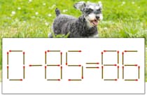 【マッチ棒パズル】正しい式にしよう！「0-85=86」【毎日脳トレ】