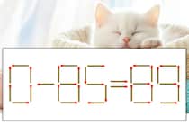 【マッチ棒パズル】正しい式にしよう！「0-85=89」【毎日脳トレ】