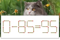 【マッチ棒パズル】正しい式にしよう！「0-85=95」【毎日脳トレ】