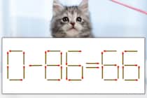 【マッチ棒パズル】正しい式にしよう！「0-86=66」【毎日脳トレ】