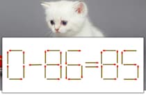 【マッチ棒パズル】正しい式にしよう！「0-86=85」【毎日脳トレ】
