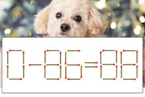 【マッチ棒パズル】正しい式にしよう！「0-86=88」【毎日脳トレ】