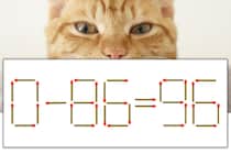 【マッチ棒パズル】正しい式にしよう！「0-86=96」【毎日脳トレ】