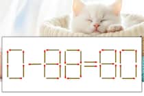 【マッチ棒パズル】正しい式にしよう！「0-88=80」【毎日脳トレ】