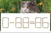 【マッチ棒パズル】正しい式にしよう！「0-88=86」【毎日脳トレ】