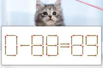【マッチ棒パズル】正しい式にしよう！「0-88=89」【毎日脳トレ】