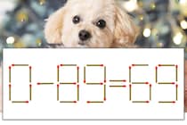 【マッチ棒パズル】正しい式にしよう！「0-89=69」【毎日脳トレ】