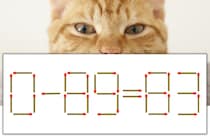 【マッチ棒パズル】正しい式にしよう！「0-89=83」【毎日脳トレ】