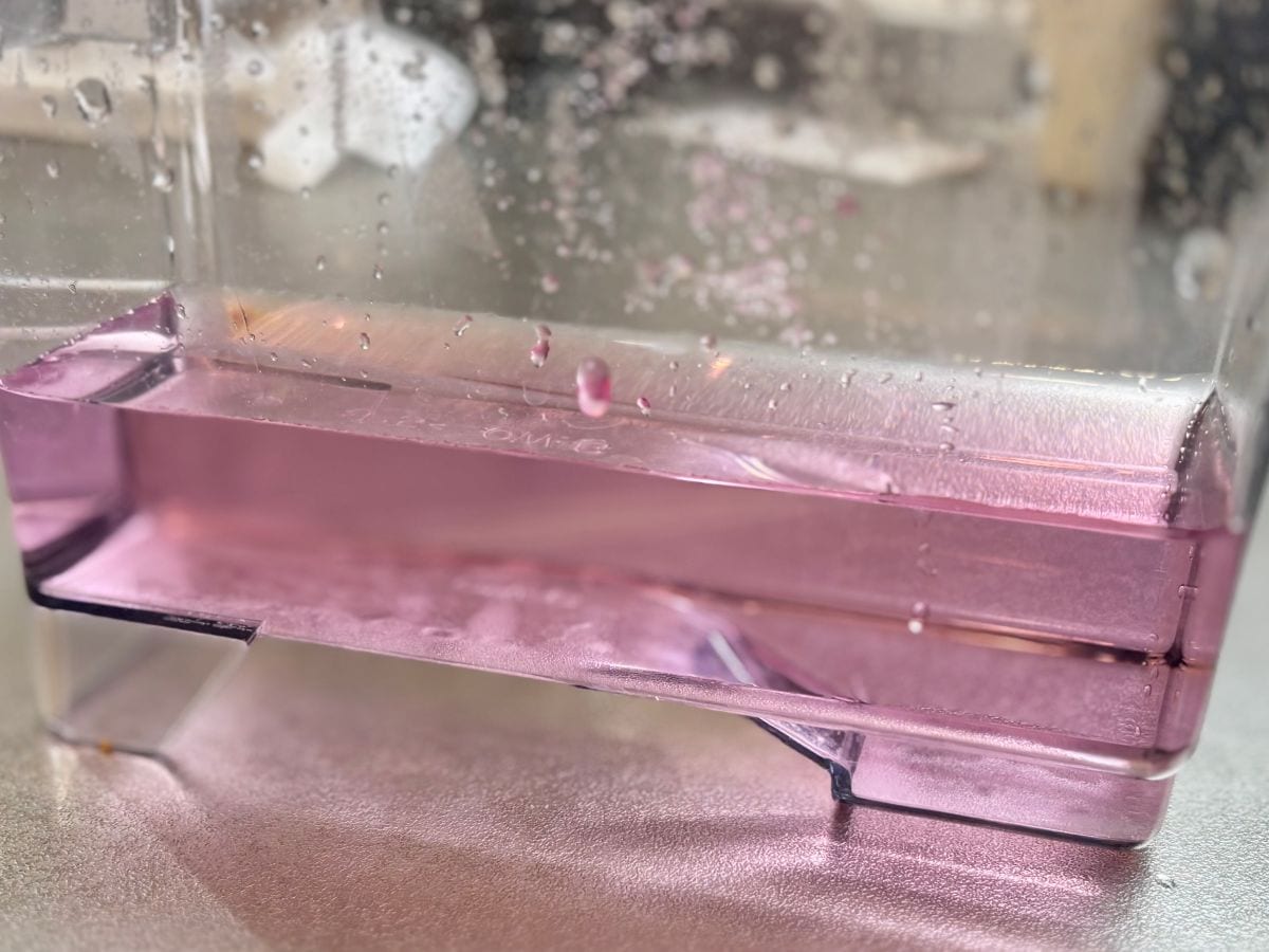 これは便利！ 製氷機の掃除に100均の“アノ粉”が大活躍！【ダイソー・セリア・キャンドゥ】