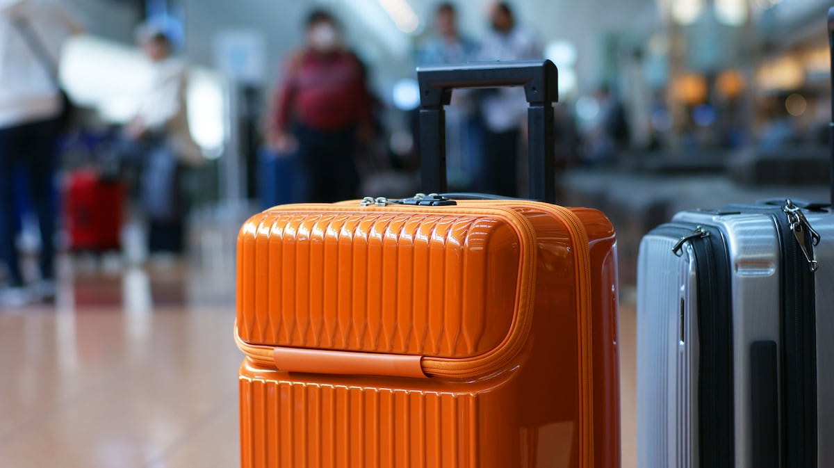 マナーの悪い外国人客に対する反撃場面に注目！……そのほか“本物のお嬢様”がセクシー女優になったワケも