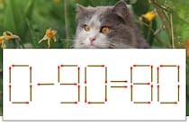 【マッチ棒パズル】正しい式にしよう！「0-90=80」【毎日脳トレ】