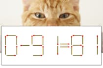 【マッチ棒パズル】正しい式にしよう！「0-91=81」【毎日脳トレ】