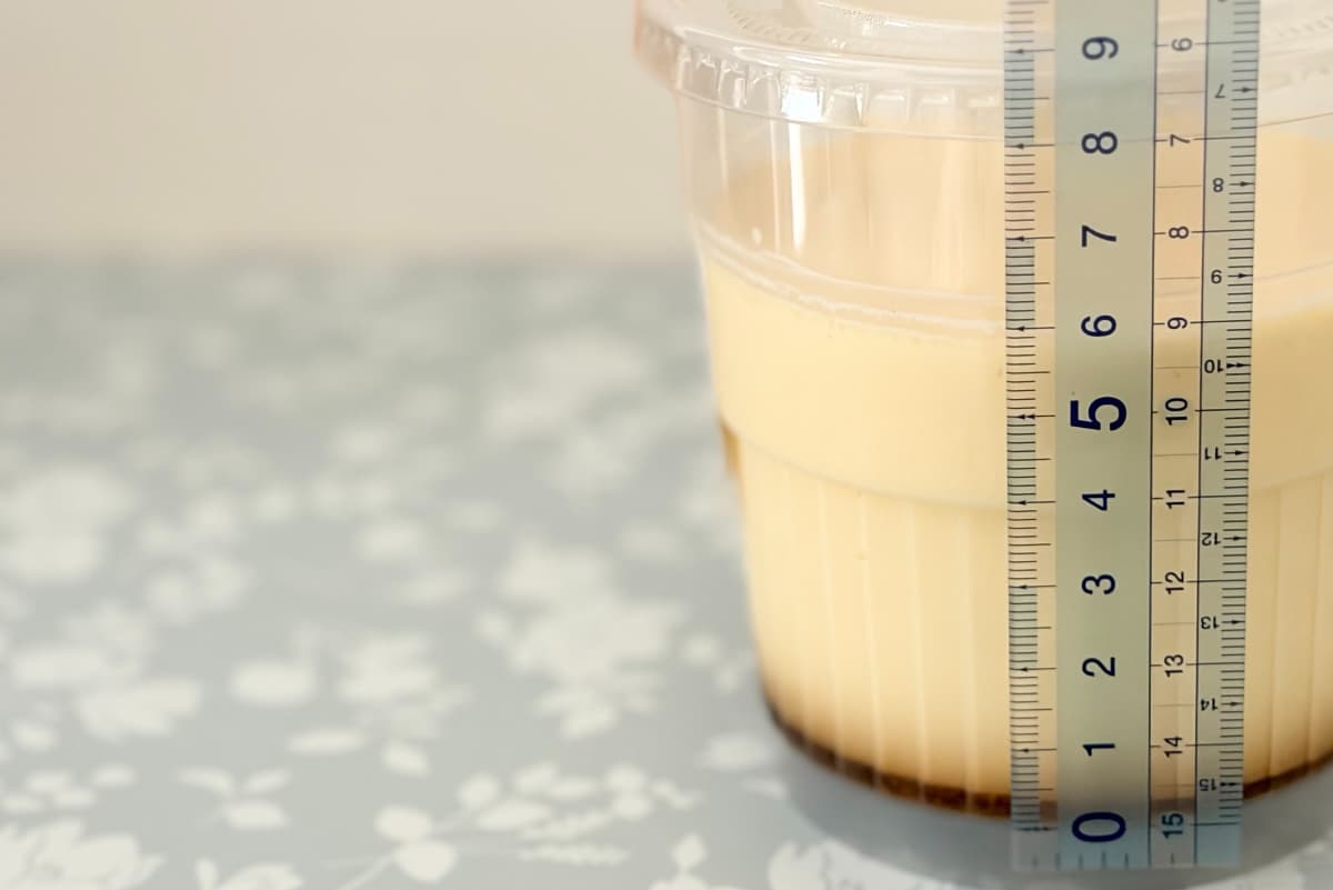 正直引くほどデカいけど幸せすぎる【ファミマ】の人気プリンが2倍以上に