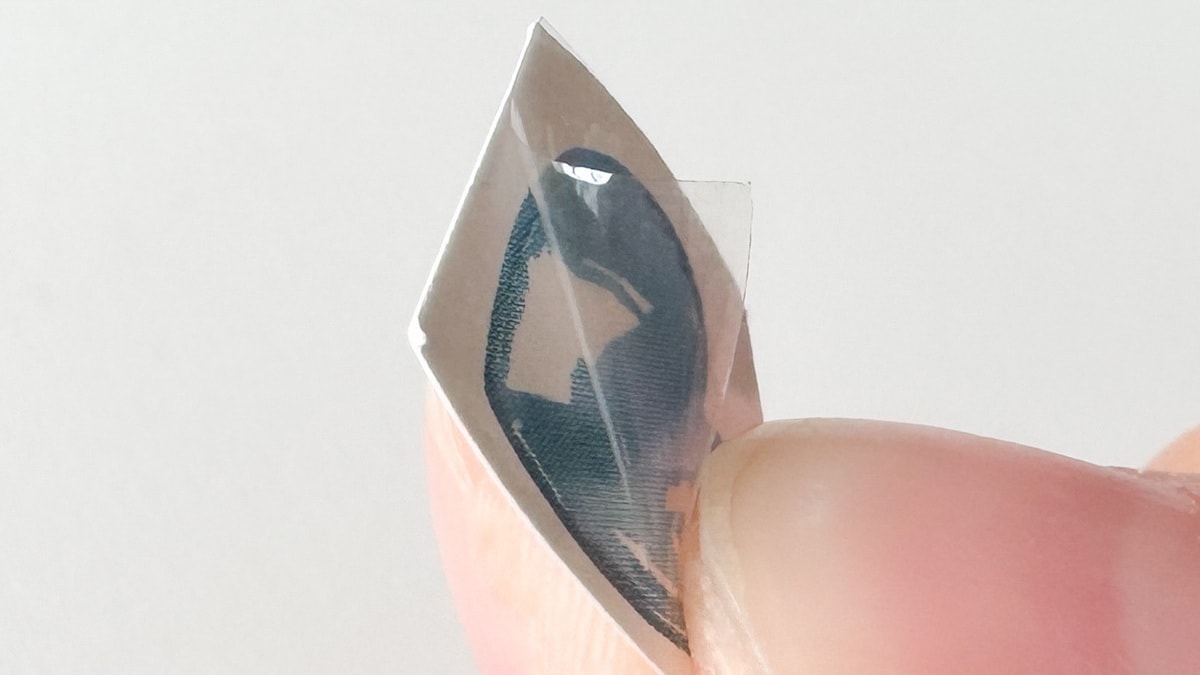 タトゥーシールは100均で売ってる?【セリア・ダイソー】使い方も解説