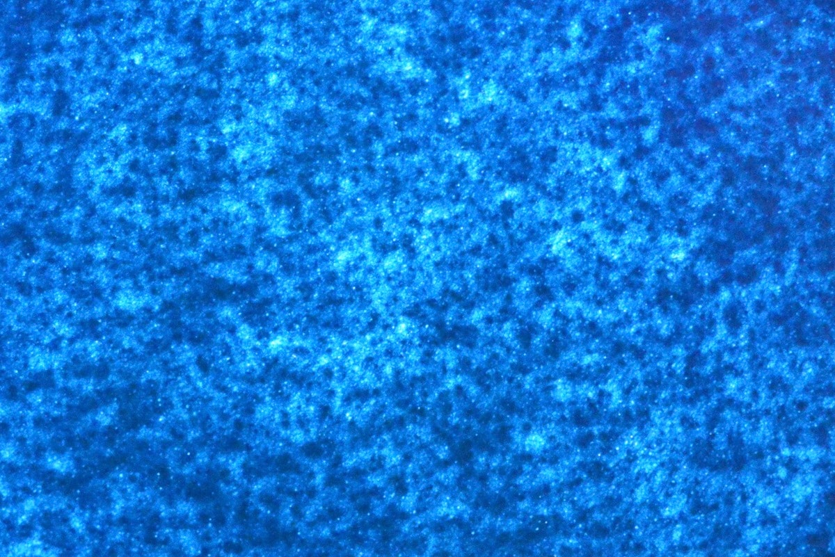 100均のフェルトを比較してみた!【セリア・キャンドゥ・ダイソー】