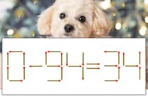 【マッチ棒パズル】正しい式にしよう！「0-94=34」【毎日脳トレ】