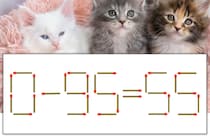 【マッチ棒パズル】正しい式にしよう！「0-95=55」【毎日脳トレ】