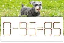【マッチ棒パズル】正しい式にしよう！「0-95=85」【毎日脳トレ】