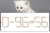 【マッチ棒パズル】正しい式にしよう！「0-96=56」【毎日脳トレ】