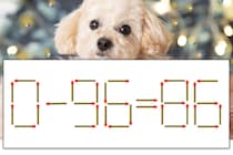 【マッチ棒パズル】正しい式にしよう！「0-96=86」【毎日脳トレ】
