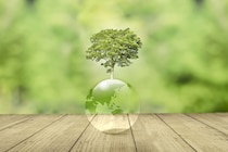 「節約は世の中に役立つための近道」、年収150万・50歳女性がそう言い切るワケと驚きの日常