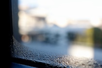 窓の『寒さ対策』は100均で十分！家事が劇的に楽になる神道具と、孫も喜ぶ『手作りお菓子』の格安アイテム