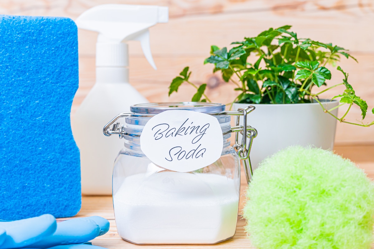 “一致団結”で目指せ500万！家族で「大胆な節約」を始めた世帯年収480万・49歳女性の工夫に満ちた日常